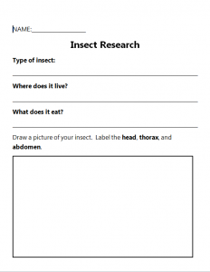 assignment differentiation option 2