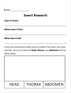 assignment differentiation option 1