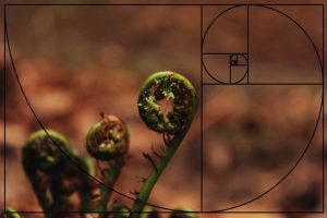 golden spiral