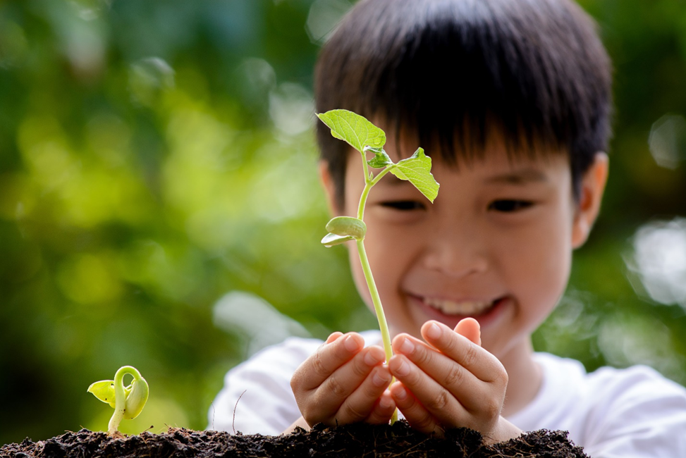 STEM backyard