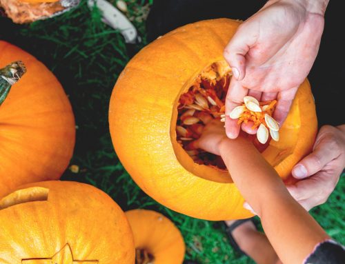 STEM Pumpkin Activities