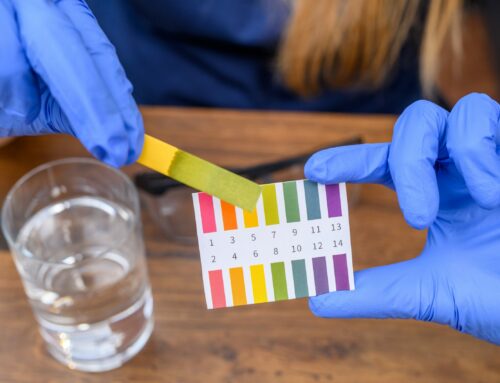 Cabbage Chemistry: Exploring Acids and Bases